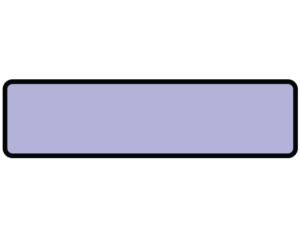 Violet 1-3/8" x 5-3/8" Patient Chart Identification Labels  - With Imprint: BORDER ONLY