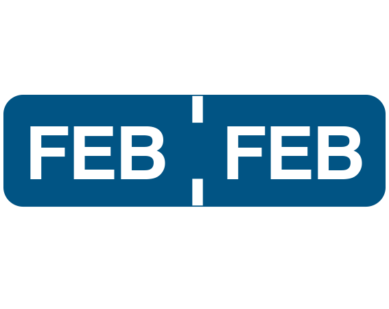 FXM-311 Color Coded Month Folder Labels for Ames Filing Systems