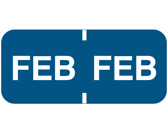 FXM-511 Color Coded Month Folder Labels for Tab Filing Systems
