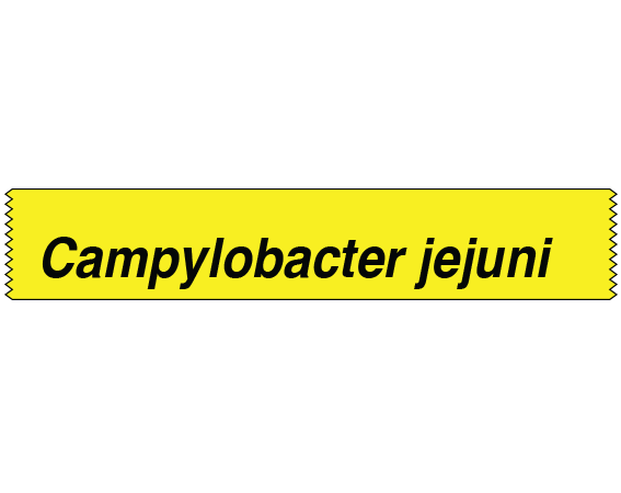 STGS-26 Labeling Tape for Bacterial Genus Identification