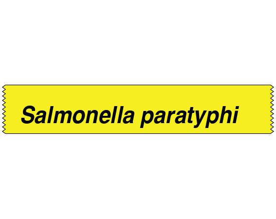 STGS-28 Labeling Tape for Bacterial Genus Identification