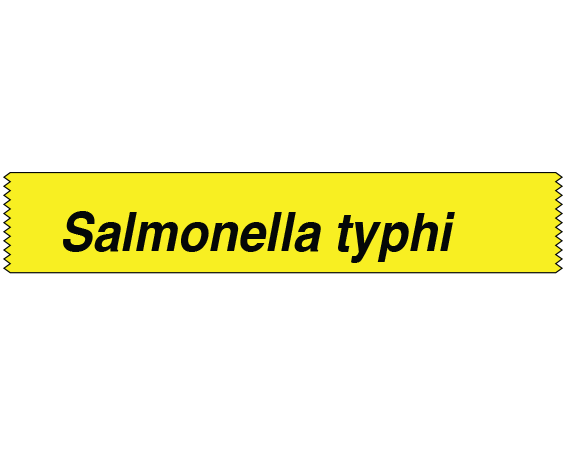 STGS-29 Labeling Tape for Bacterial Genus Identification