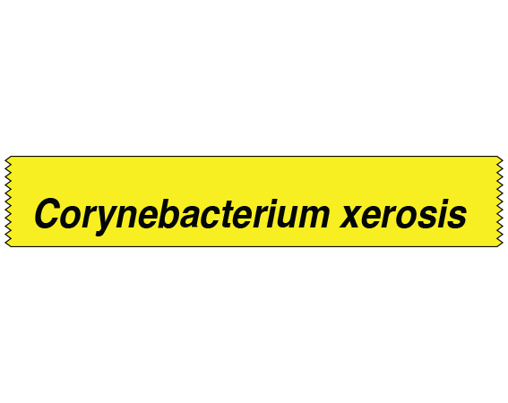 STGS-4 Labeling Tape for Bacterial Genus Identification