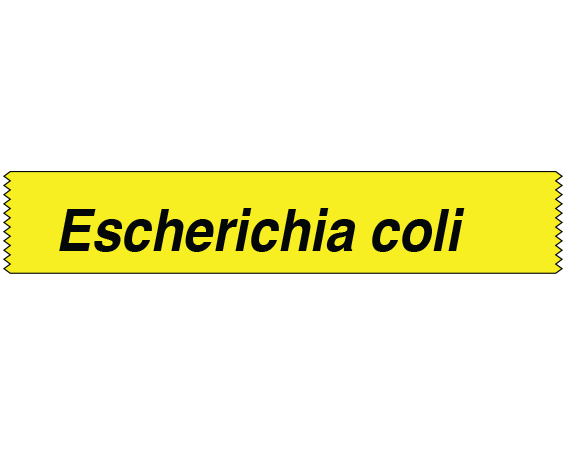 STGS-8 Labeling Tape for Bacterial Genus Identification