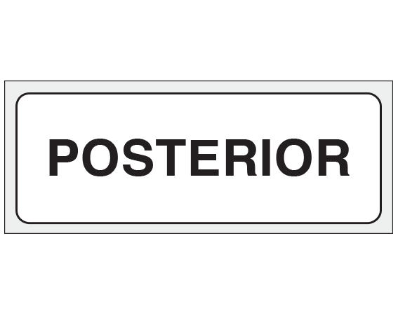 SX-37-PRE X-Ray Position Labels