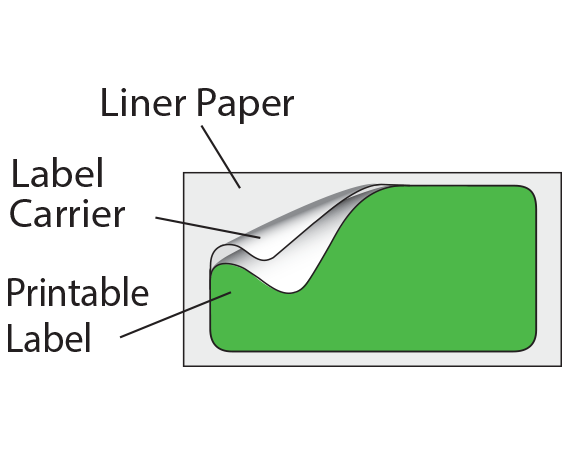 THERM-PB548R-3 Thermal Printer Labels for Patient Charge Systems - Piggyback