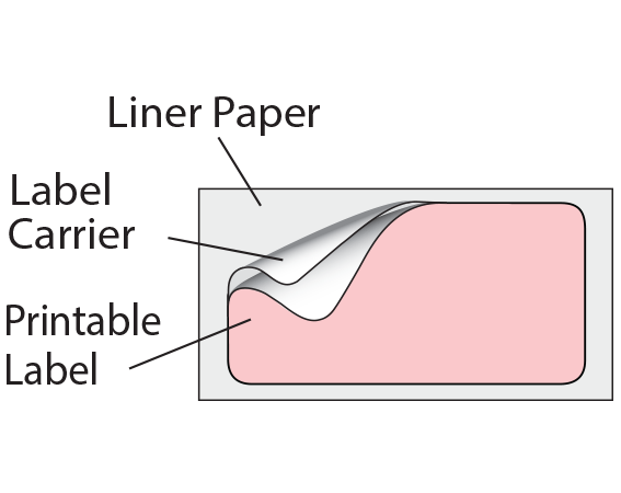 THERM-PB548R-7 Thermal Printer Labels for Patient Charge Systems - Piggyback