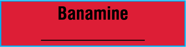 SAV-1004-PK | Anesthesia Drug Labels for Veterinary Syringe Identification - Pack Form