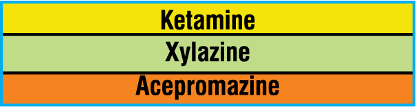 SAV-993-PK Anesthesia Drug Labels for Syringe Identification - Pack Form