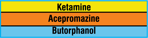 SAV-996-PK Anesthesia Drug Labels for Syringe Identification - Pack Form