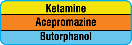 SAV-996-PRE Anesthesia Drug Labels for Syringe Identification - Precut Form