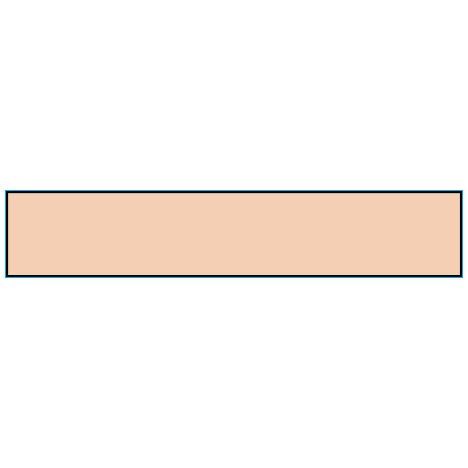 CL-CARD-9 Patient Chart Identification Cardstock